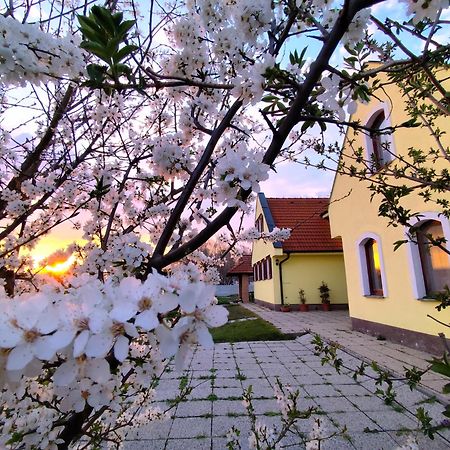Idylicky Rodinny Penzion Arkadia Pri Dunajskej Cyklotrase Kyselica Экстерьер фото