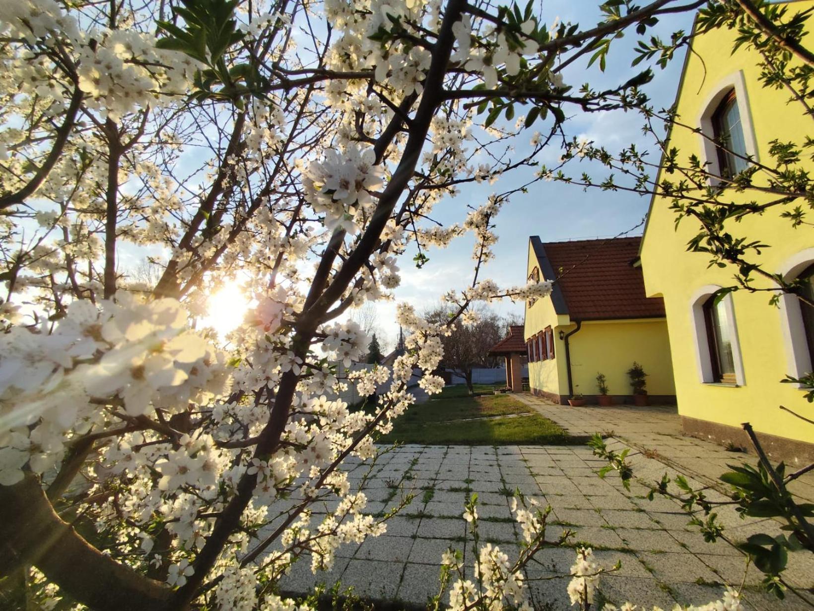 Idylicky Rodinny Penzion Arkadia Pri Dunajskej Cyklotrase Kyselica Экстерьер фото